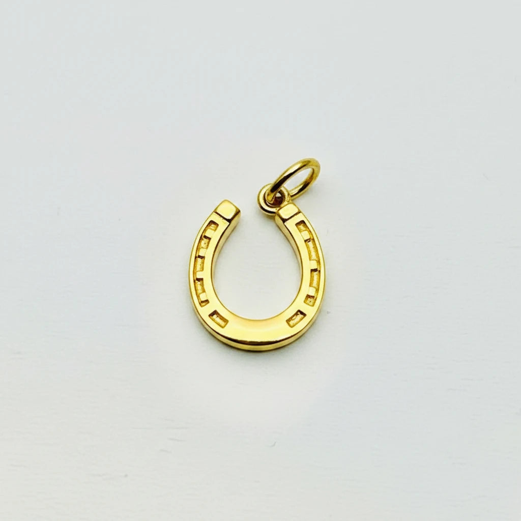 9ct YG Horseshoe Charm