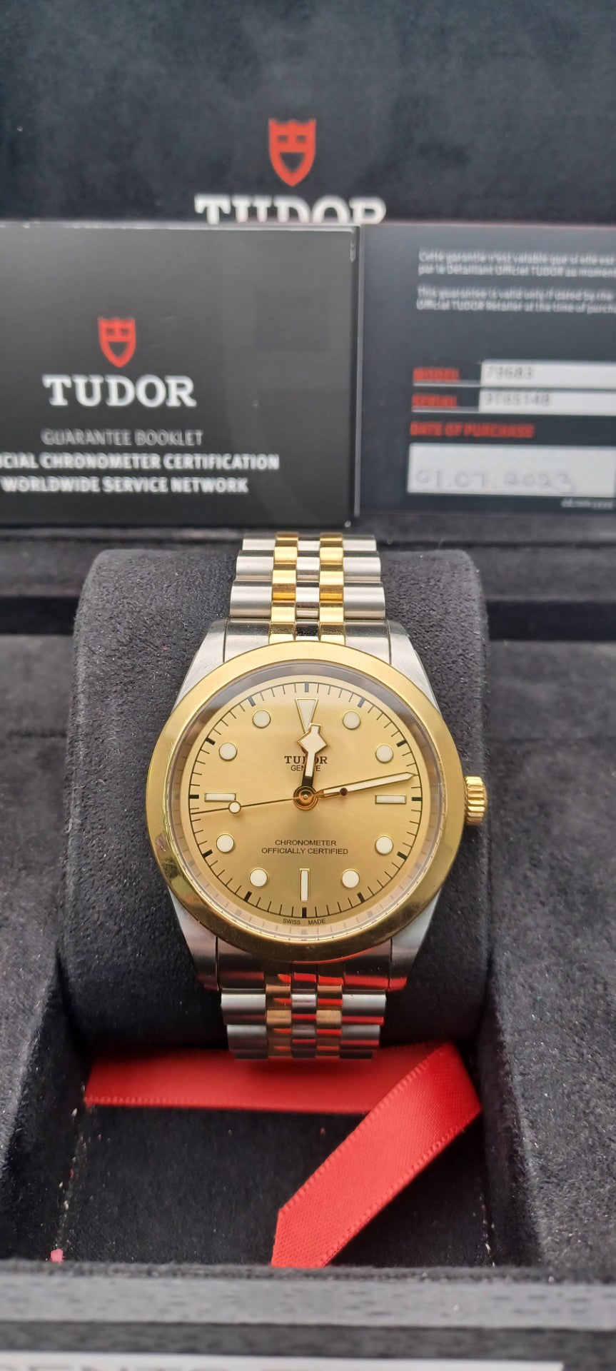41mm 2023 Men's 18ct YG and Steel Tudor Black Bay Watch